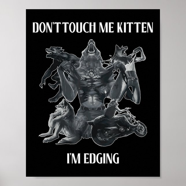 Poster Don't Touch Me Kitten I'm Edging Wolfs Design  (Frente)