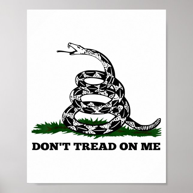 Poster Don't Tread On Me 2nd Amendment Patriotic New Nove (Frente)