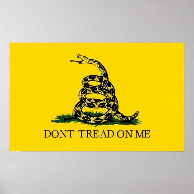 Pôster Dont Tread On Me - Gadsden Flag (Frente)