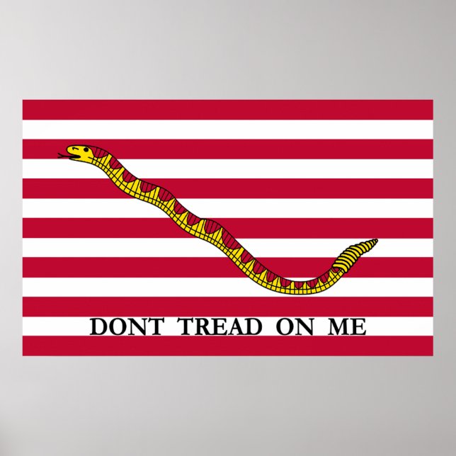 Poster Don't Tread On Me - Navy Jack Flag (Frente)