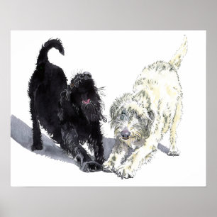 Poster Doodle de Labradoodle