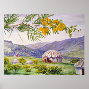 Poster Doornboom sul-africano e Fingo Huts