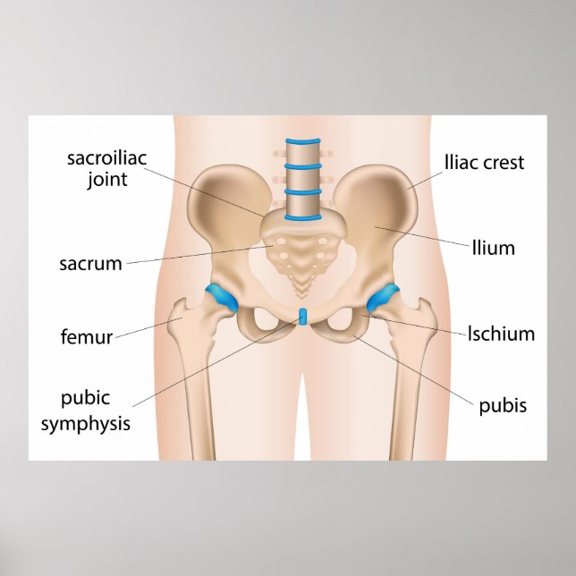 Poster Dor lombar (Frente)