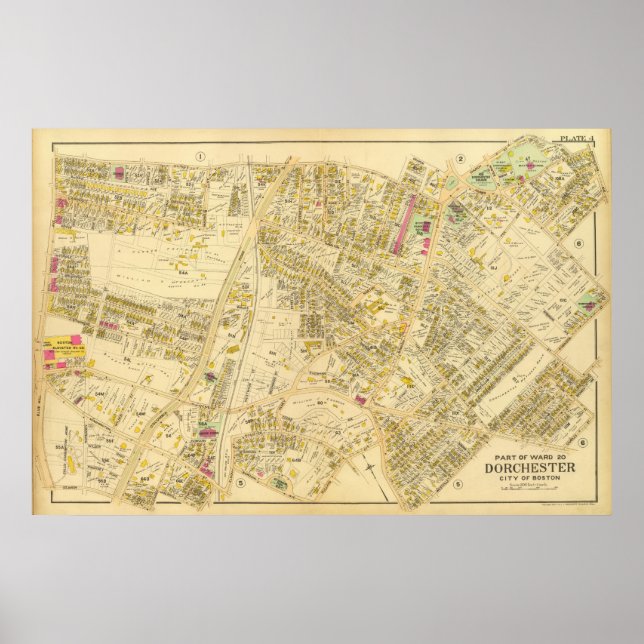 Pôster Dorchester, Massachusetts 7 (Frente)