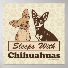 Poster Dorme Com Cachorro Chihuahua