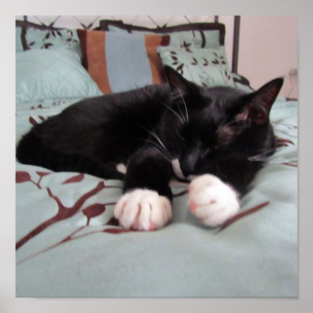 Pôster Dormindo Lucy (Frente)