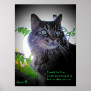 Poster Dormir me chama