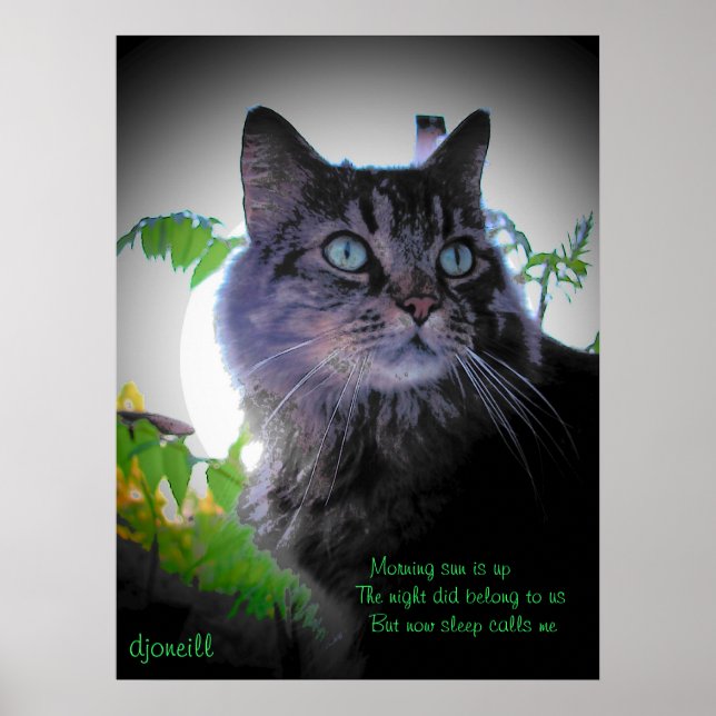 Poster Dormir me chama (Frente)