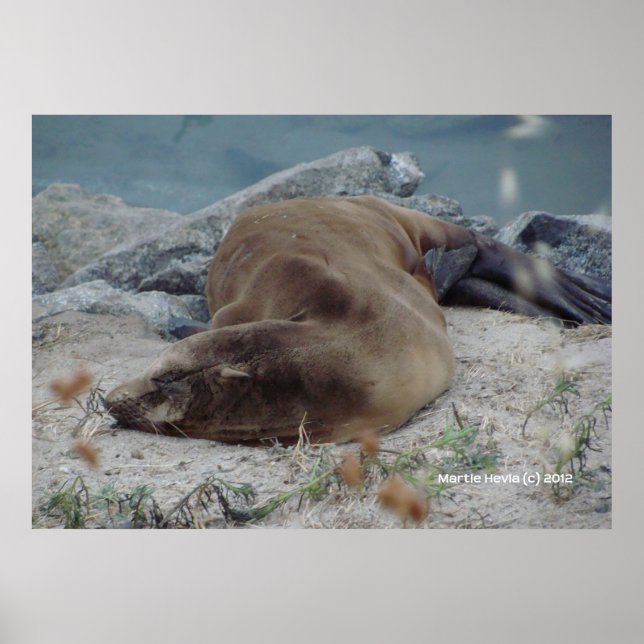 Poster Dormir nas Rochas (Frente)