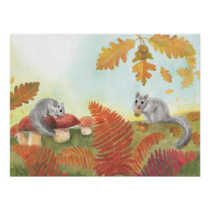 Pôster Dorrato Gordo Europeu (Glis glis) na Natureza