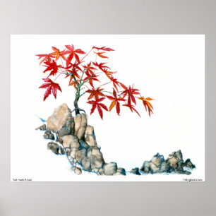 Poster dos bonsais do bordo vermelho de PMACarlson