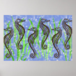 Poster dos CAVALOS MARINHOS