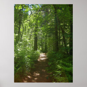 Poster dos dias de verão (6)