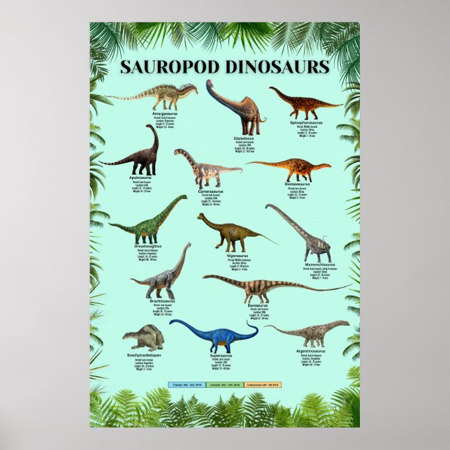 Poster dos dinossauros saurópode (Frente)