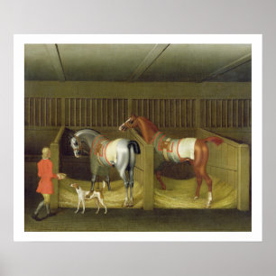 Poster Dos dois cavalos o belongin Running famoso dos