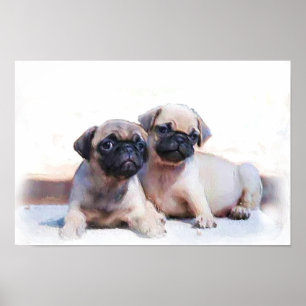 Poster dos filhotes de cachorro do Pug