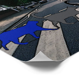 Poster dos gatos da estrada da abadia