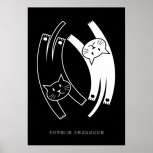 Poster dos gatos de Yin & de Yang (o mandarino