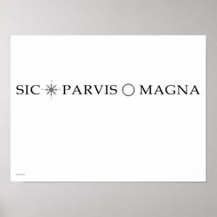 Poster dos magnum do SIC Parvis (transversalmente)
