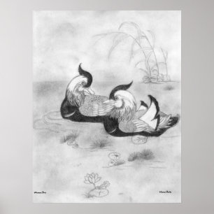 Poster dos Patos-de-mandarim