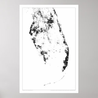 Pôster Dotmap de Censo de Everglades