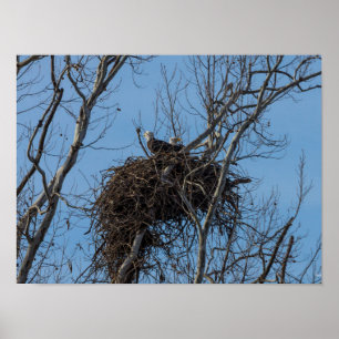 Poster Double Eagle Trouble