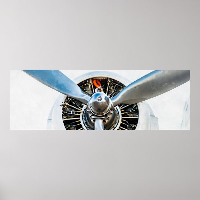 Pôster Douglas DC-3 Aircraft. Propeller (Frente)