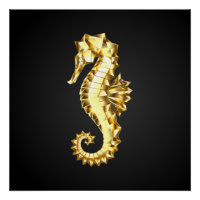 Dourado Cavalo de Mar Poligonal