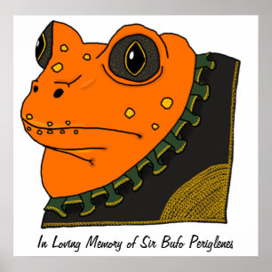 Poster dourado do memorial do sapo