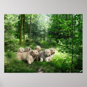 Poster dourado dos filhotes de cachorro