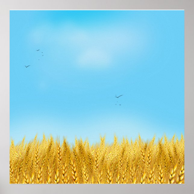 Poster Dourado Trigo Campo Azul Céu Azul Pintura de Óleo  (Frente)