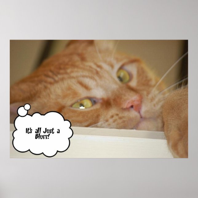 Poster Doutor Humor/É tudo um desfoque (Frente)