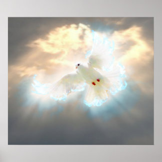 Pôster Dove