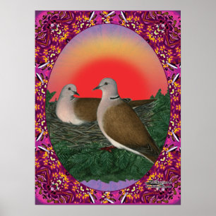 Pôster Doves emoldurados