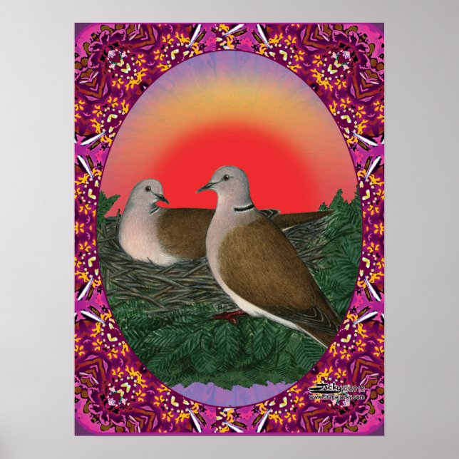 Pôster Doves emoldurados (Frente)