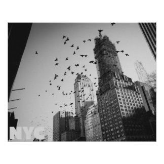 Pôster Doves over Manhattan