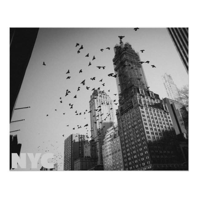 Pôster Doves over Manhattan (Frente)