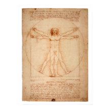 Poster DoVinci Vitruvian Man