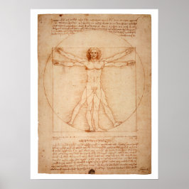 Poster DoVinci Vitruvian Man