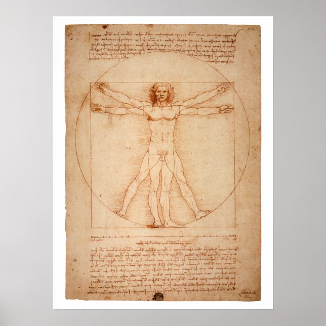 Poster DoVinci Vitruvian Man (Frente)