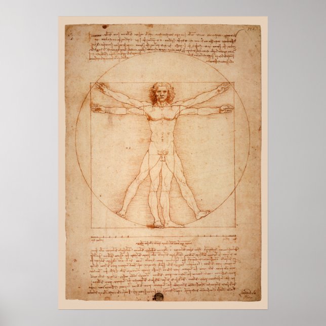 Poster DoVinci Vitruvian Man (Frente)