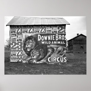 Pôster Downie Bros Circus: 1936