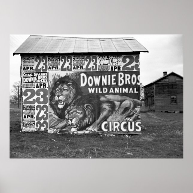 Pôster Downie Bros Circus: 1936 (Frente)