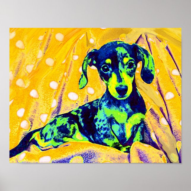 Pôster doxie azul (Frente)