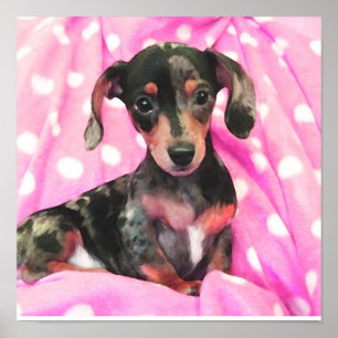 Pôster doxie cor-de-rosa