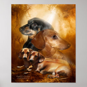 Poster Doxies - Dappled no poster/impressão da arte da