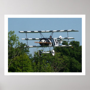 Pôster DR1 239/17 no final!