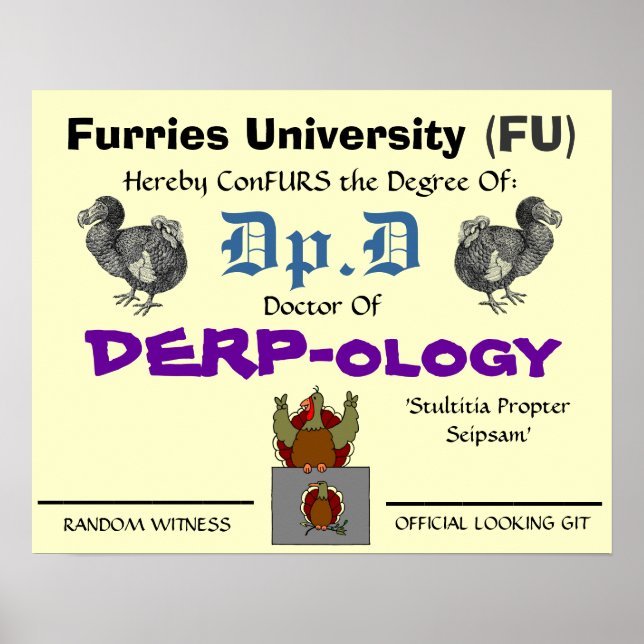Poster Dr. da DERP-ologia 2 (Frente)