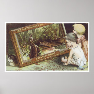 Pôster Dr. Kilmers Swamp Root