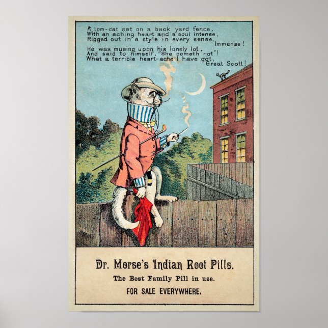 Poster Dr. Morse Cat Trade Card nº 1 (de 4) (Frente)